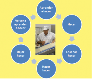 los 6 pasos en la vida profesional4