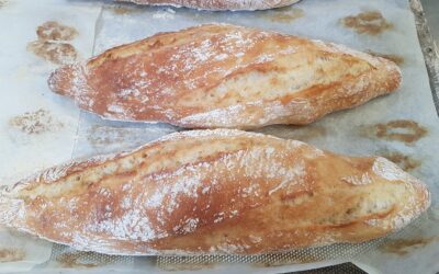 Pan de agua