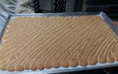 Planchas de bizcocho