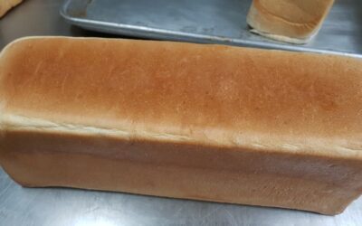 Pan de Molde.