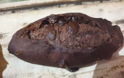 Pan de chocolate