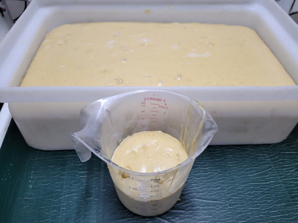 Panettone
