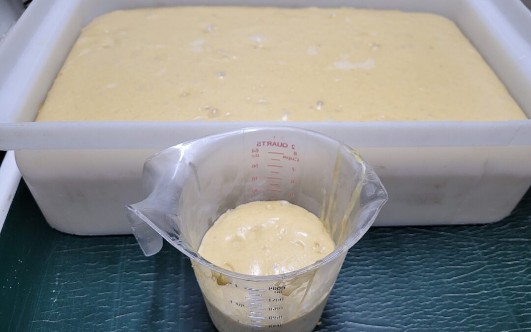 Panettone