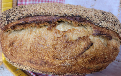 Pan de cerveza negra