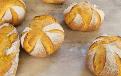 Pan de Maiz